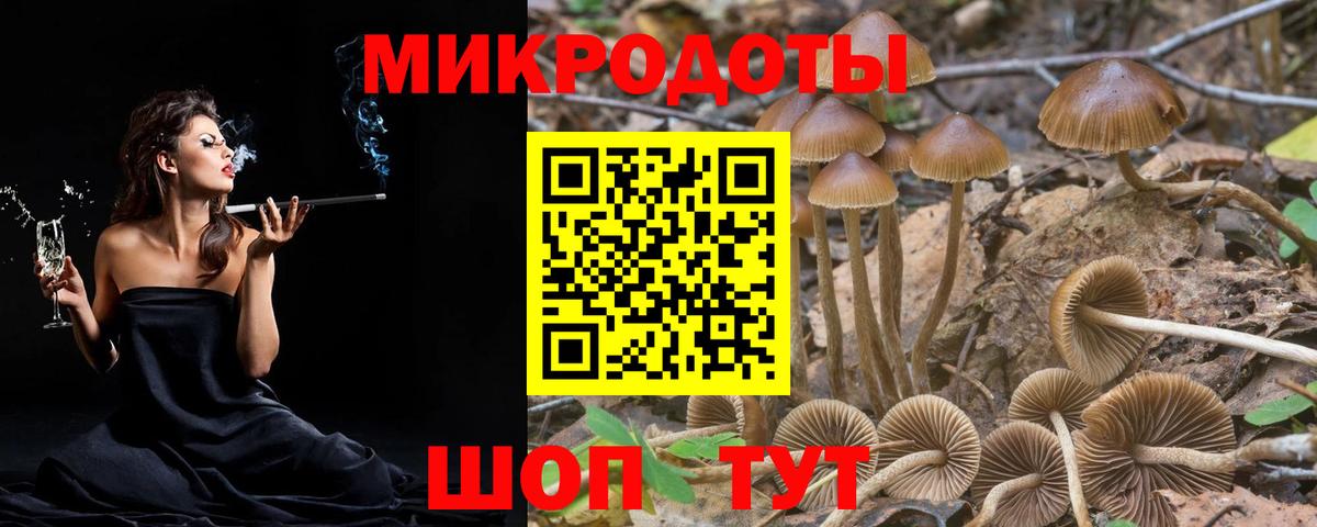 Гатчина  Псилоцибиновые грибы GOLDEN TEACHER  Галлюциногенные грибы Magic Shrooms  Вход с VPN 