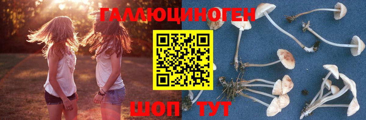 Псилоцибиновые грибы прущие грибы Гатчина